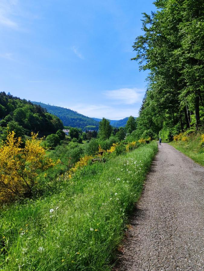 Fewo Albtaleck - Wohnen Im Kurort Waldbronn Eksteriør bilde