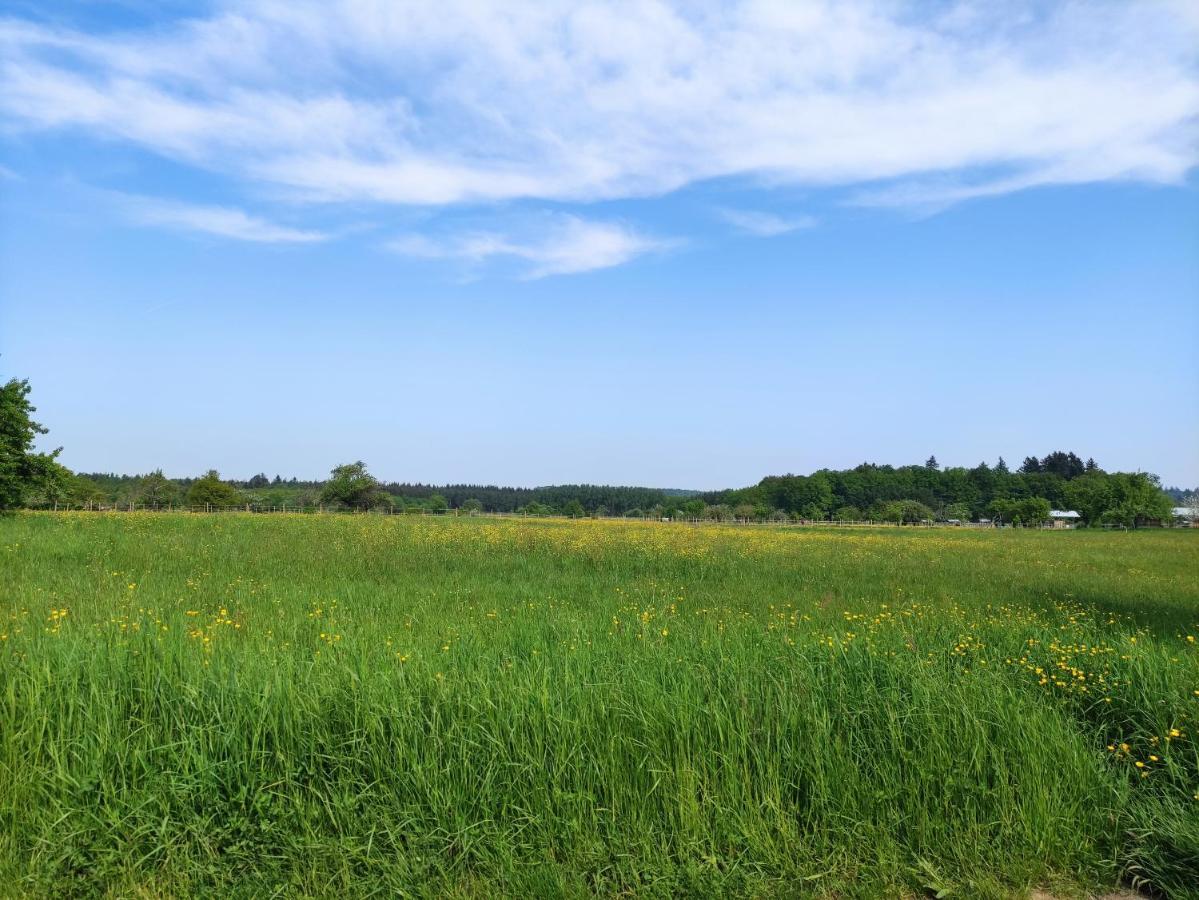 Fewo Albtaleck - Wohnen Im Kurort Waldbronn Eksteriør bilde
